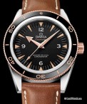 Omega-Seamaster-300-Master-Co-Axial-Chronometer-Leather-strap-2--1-