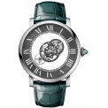 f409acc1-cartier astromysterieux-light whro0073