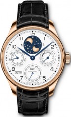 IWC » _Archive » Portuguese Perpetual Calendar Edition 150 Years » IW503405