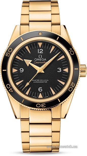 Omega » _Archive » Seamaster 300 Master Co-Axial 41 mm » 233.60.41.21.01.002