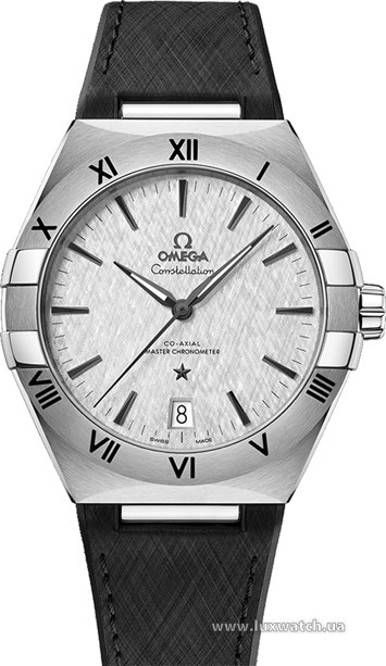 Omega » Constellation » Co-Axial Master Chronometer 41 mm » 131.12.41.21.06.001